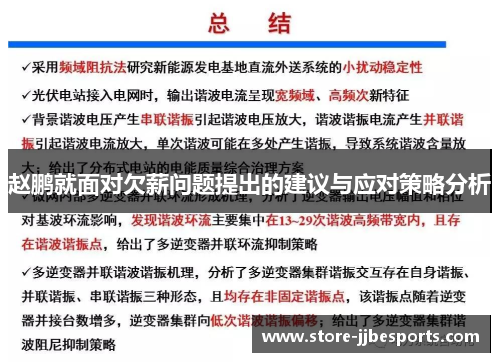 赵鹏就面对欠薪问题提出的建议与应对策略分析