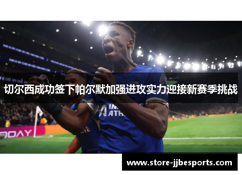 切尔西成功签下帕尔默加强进攻实力迎接新赛季挑战